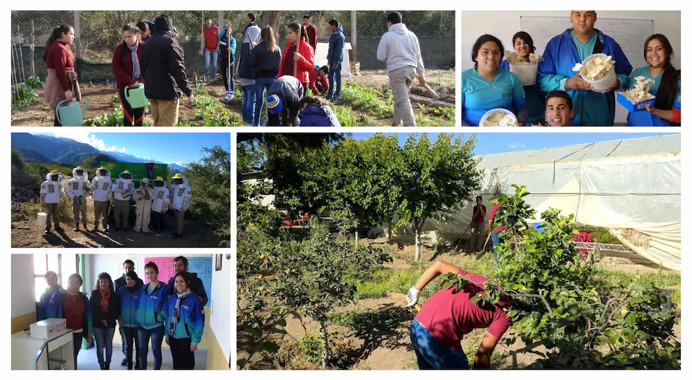 Imagen de actividades institucional