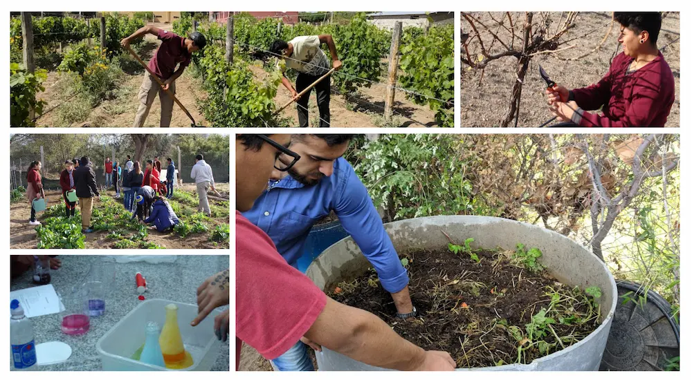 Imagen de actividades institucional